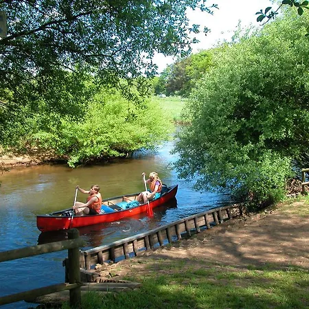 Heine Treia
