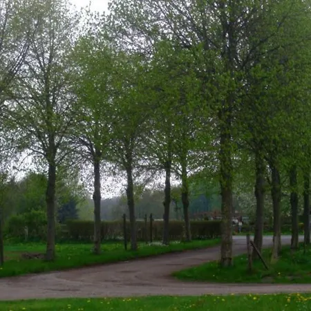 Heine Treia